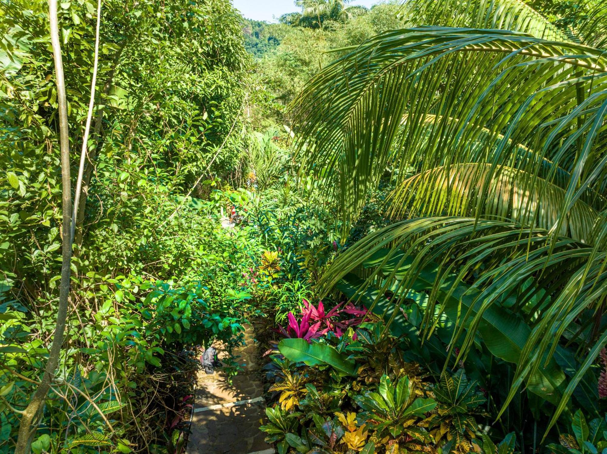 Hibiscus Valley Inn