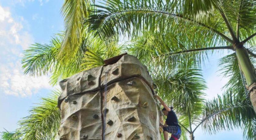Paradisus (adults Only) 4*