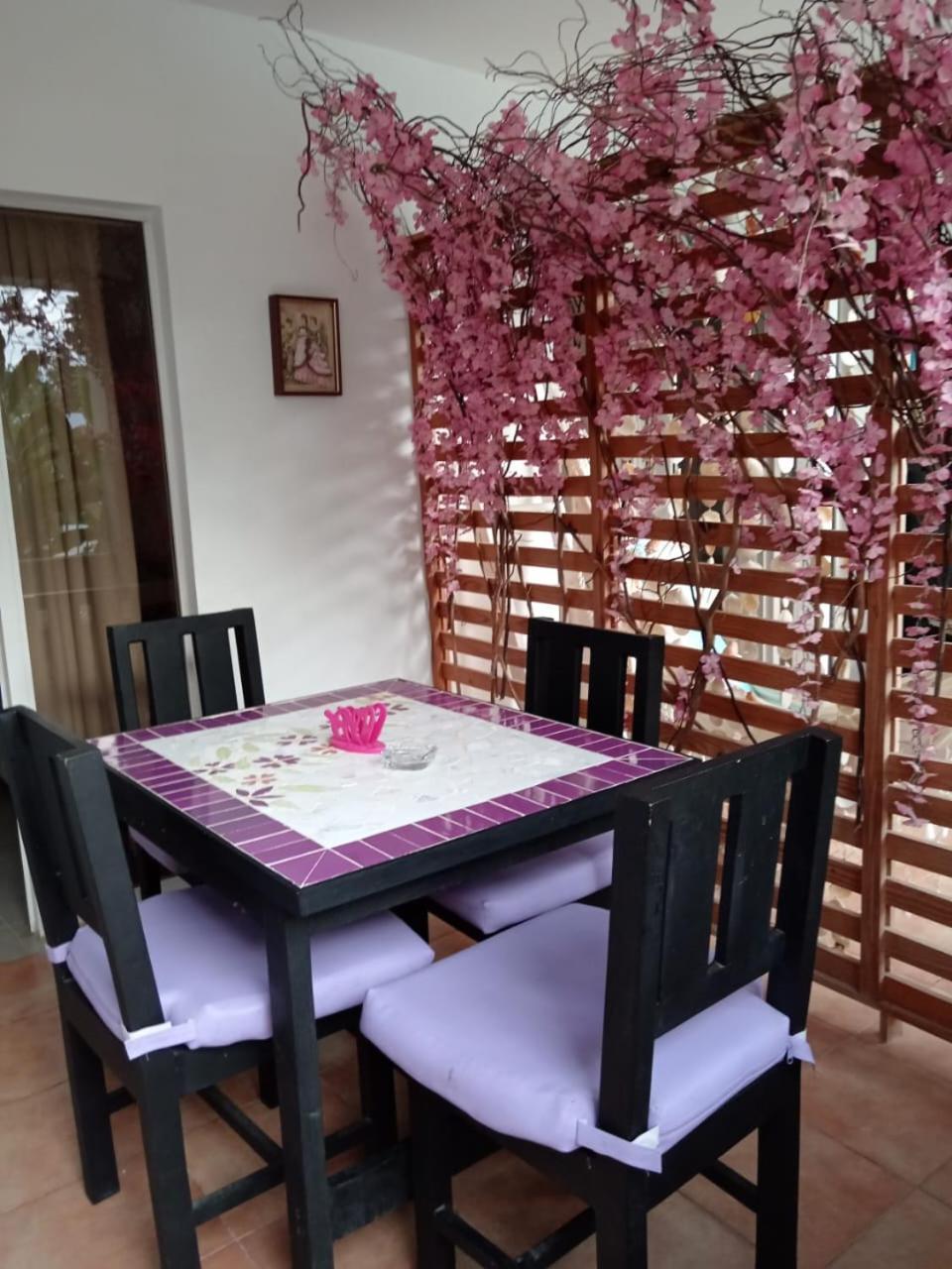 Aparthotel Dona Mayra Aparta