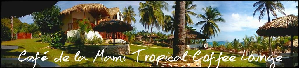 La Mami River Beach - Caribean House 3*