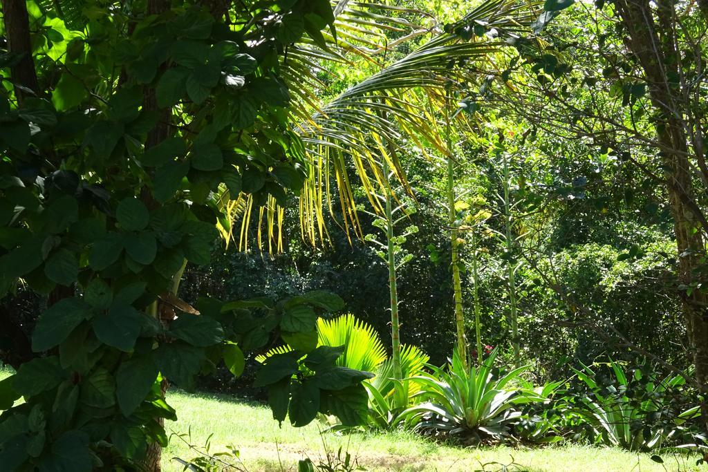 Tranquility By The Sea * Vieques