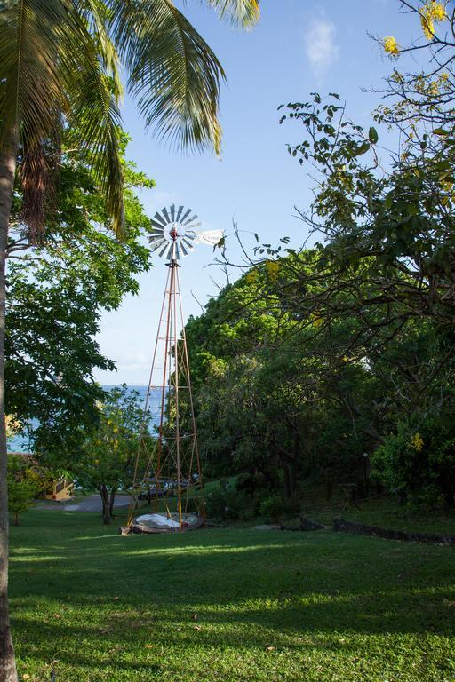 Grand View Kingstown