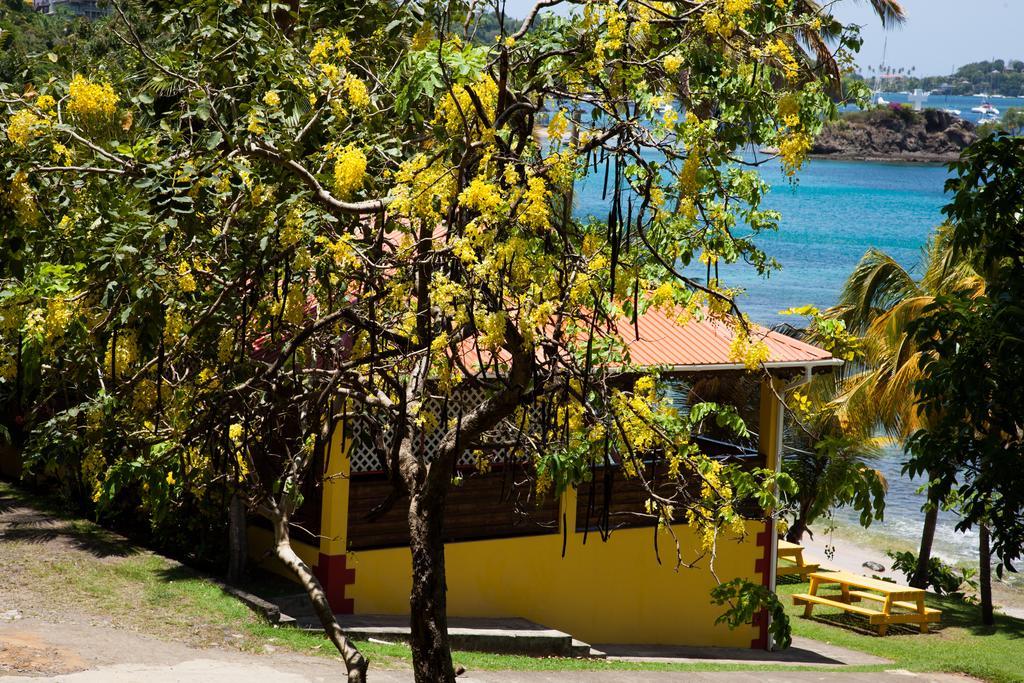 Grand View 2* Kingstown