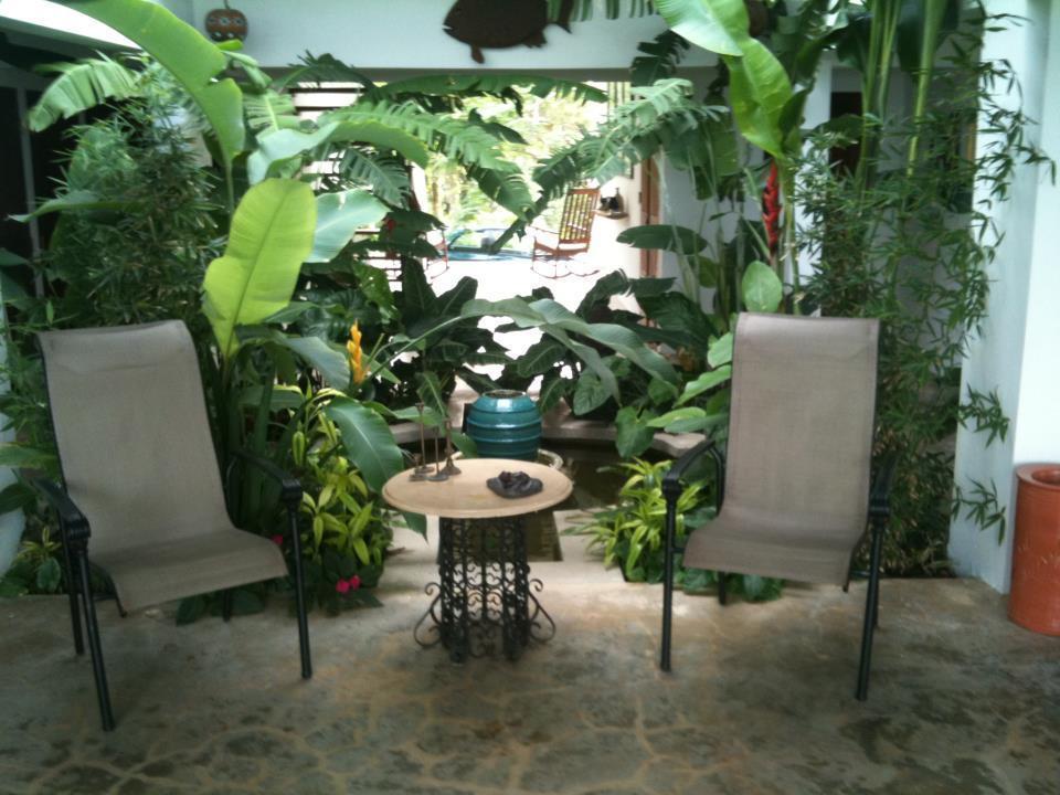 El Hotelito At The Rainforest Experience Farm Hotel