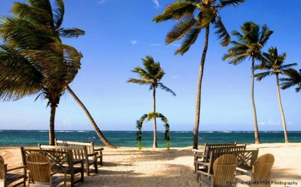 Nisbet Plantation Club 4* Newcastle