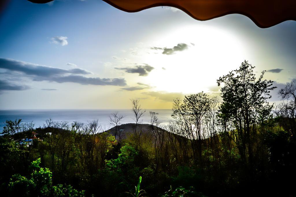 Harmonie Tropicale *