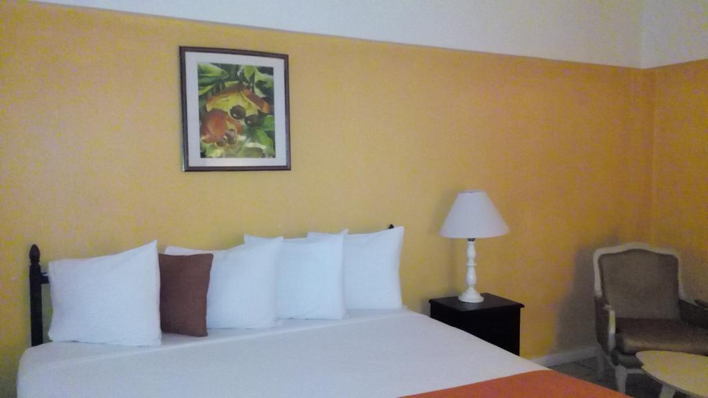 Hotel Pineapple Court
