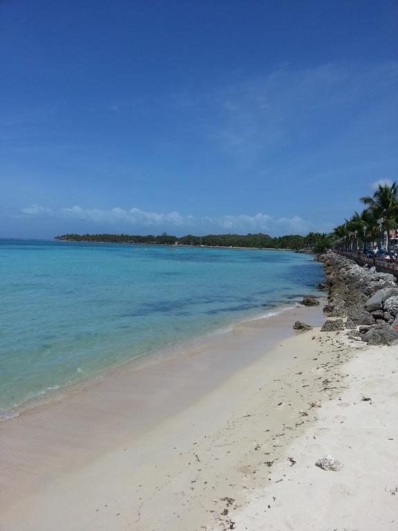 Corail * Sainte-Anne (Grande-Terre)