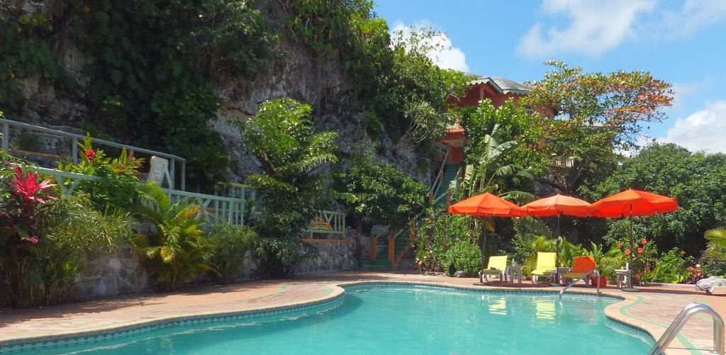 Pimento Port Antonio