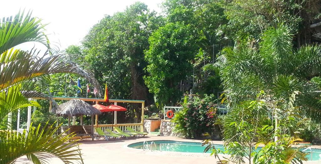 Pimento Lodge Port Antonio
