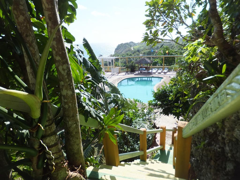 Pimento * Port Antonio