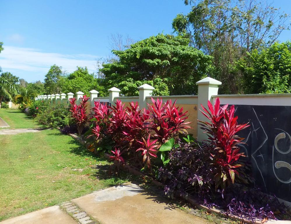 Pimento Port Antonio