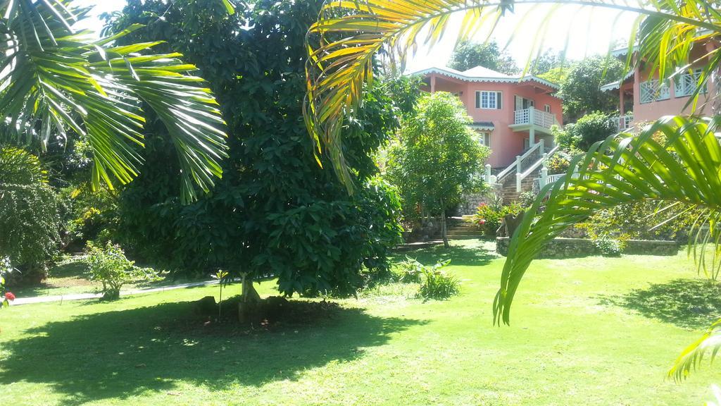 Pimento Port Antonio