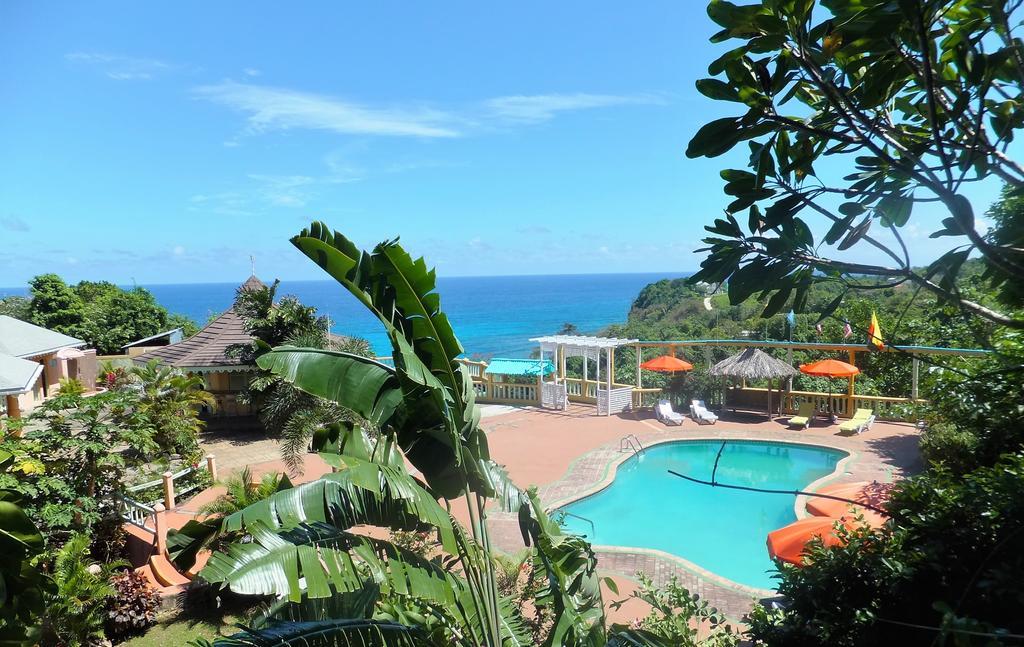 Pimento Port Antonio