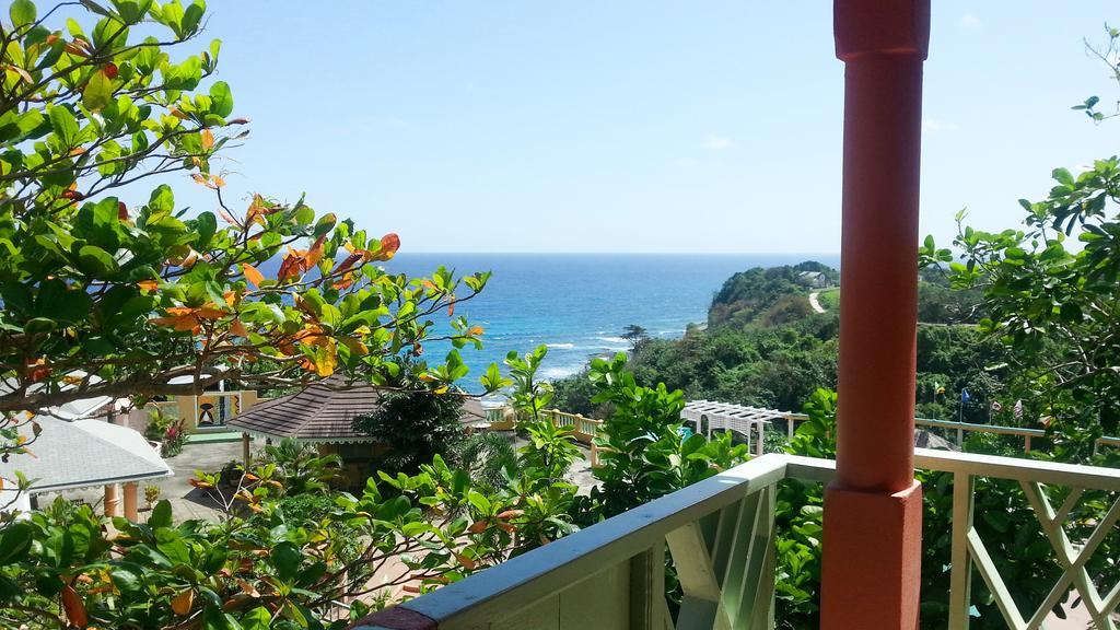 Pimento Lodge Port Antonio