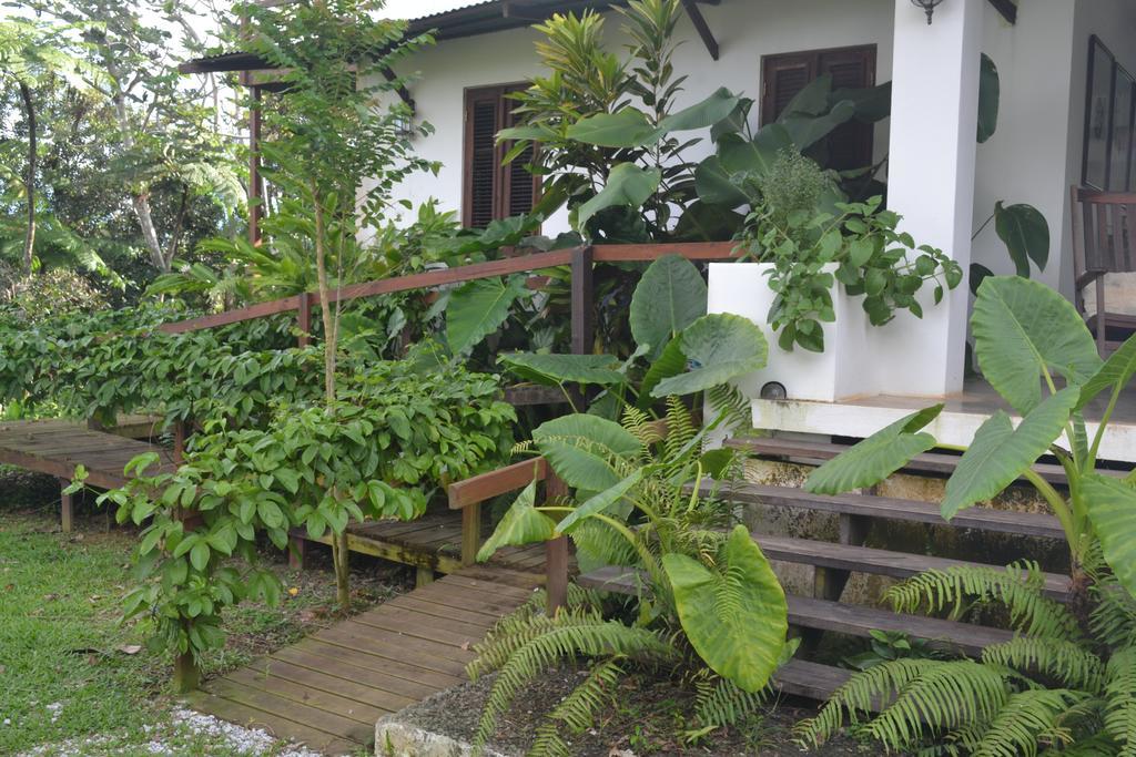 El Hotelito At The Rainforest Experience Farm 4*