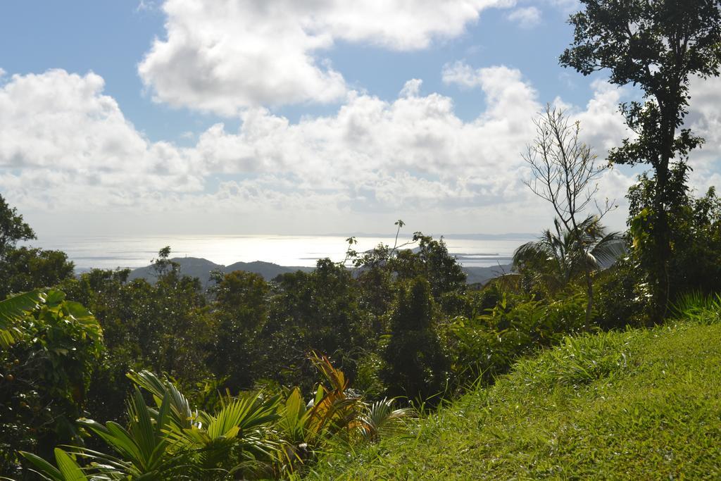 Hotel El Hotelito At The Rainforest Experience Farm 4*