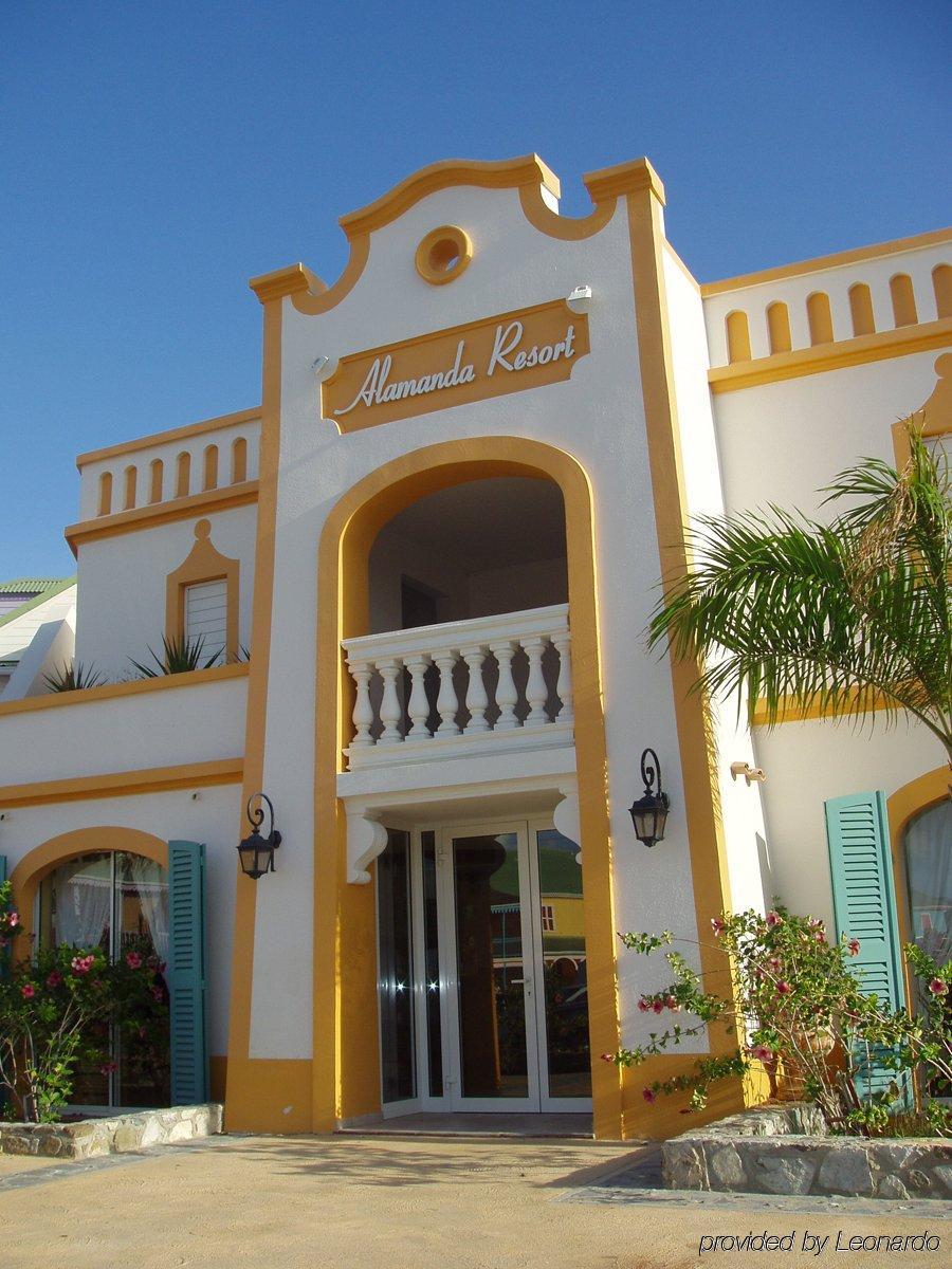 Alamanda 3*