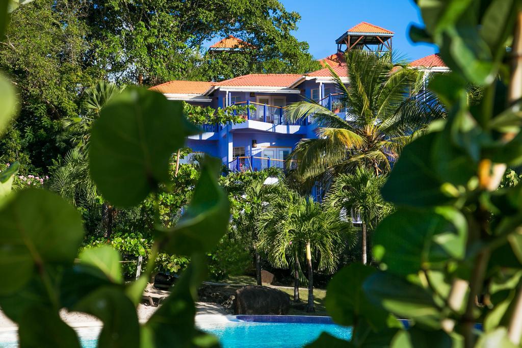Resort True Blue Bay 4*