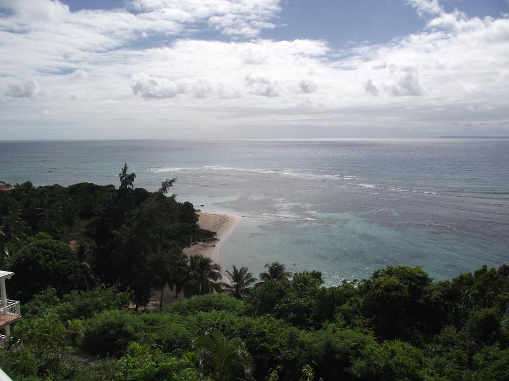 L'oiseau Du Paradis Vue A Francois A 100 M De La *