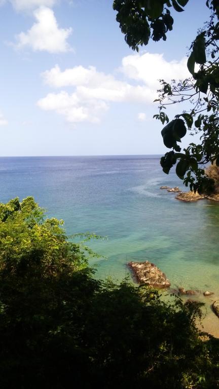 Blue Mango Cottages Guest house