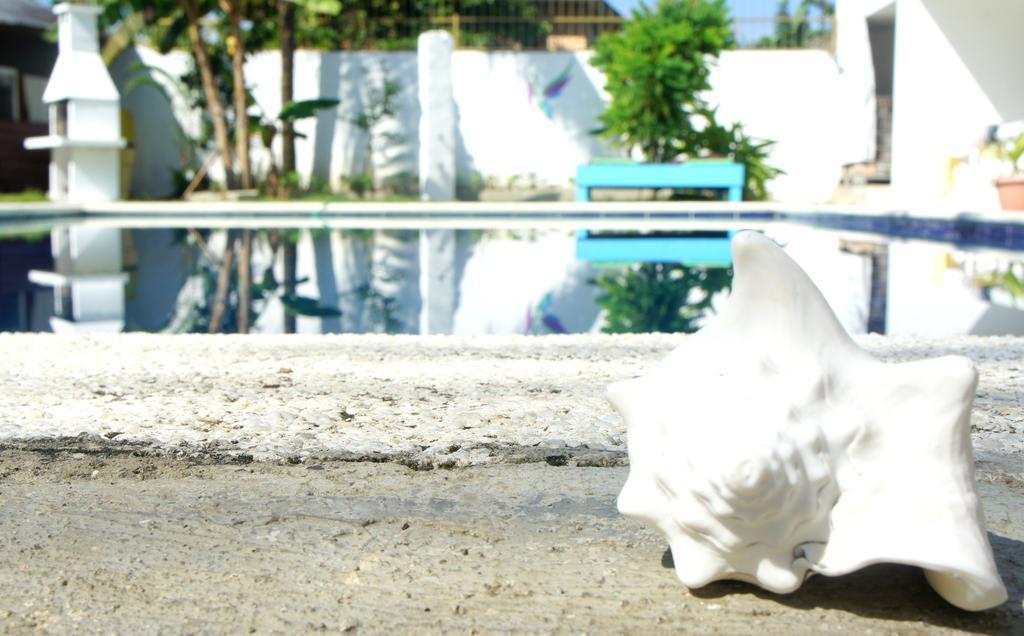 Aparthotel Hummingbird Cabarete