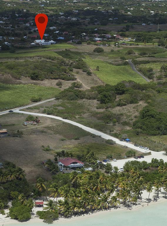 La Canne A Sucre Sainte-Anne (Grande-Terre)
