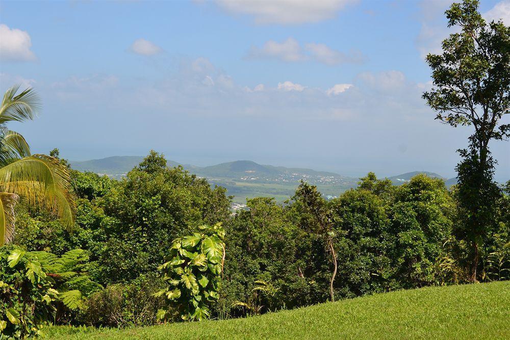 El Hotelito At The Rainforest Experience Farm Hotel