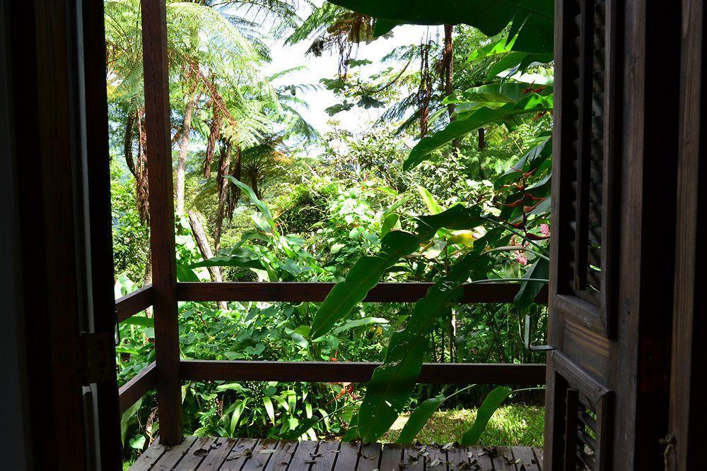 El Hotelito At The Rainforest Experience Farm Fajardo