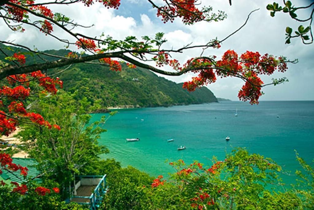 Blue Mango Cottages Castara