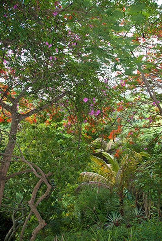 Guest house Blue Mango Cottages