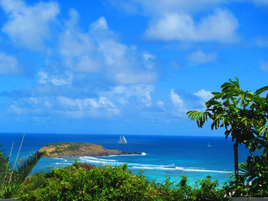 Hotel Les Ondines Sur La Gustavia