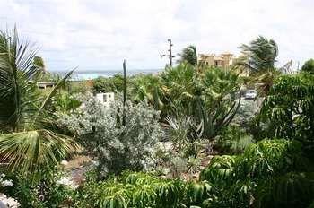 Apartamento 1 And 5 In Windsock *