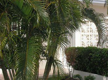 Apartamento Pauline's *