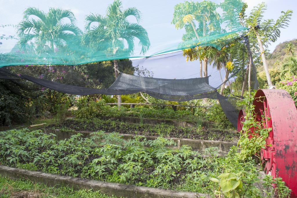 La Haut 3* Soufriere