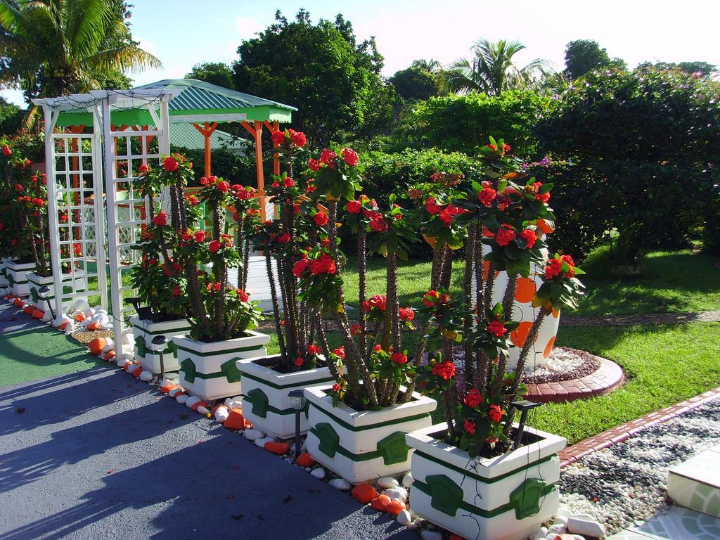 Ludivine * Sainte-Anne (Grande-Terre)