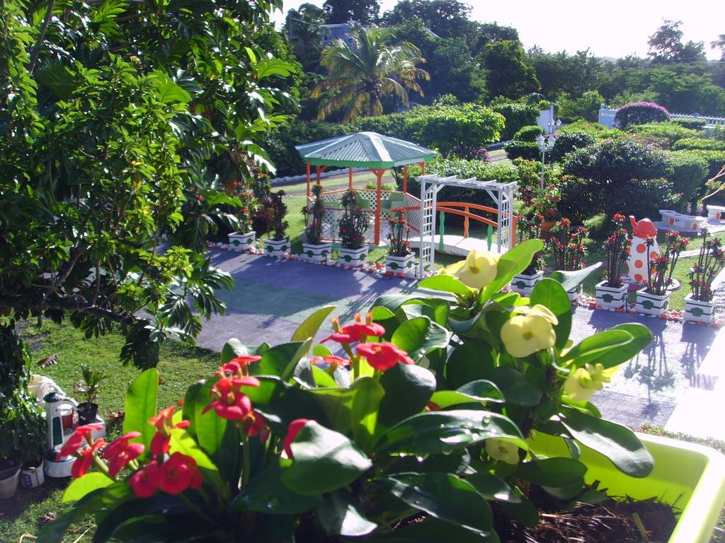 Ludivine Sainte-Anne (Grande-Terre)