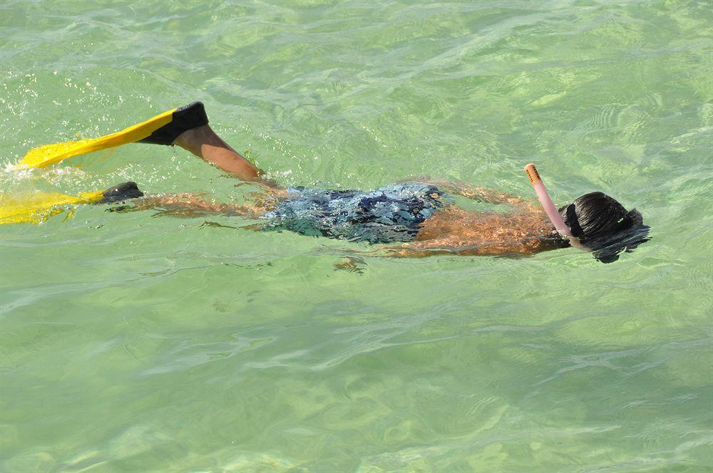Fish Tobago