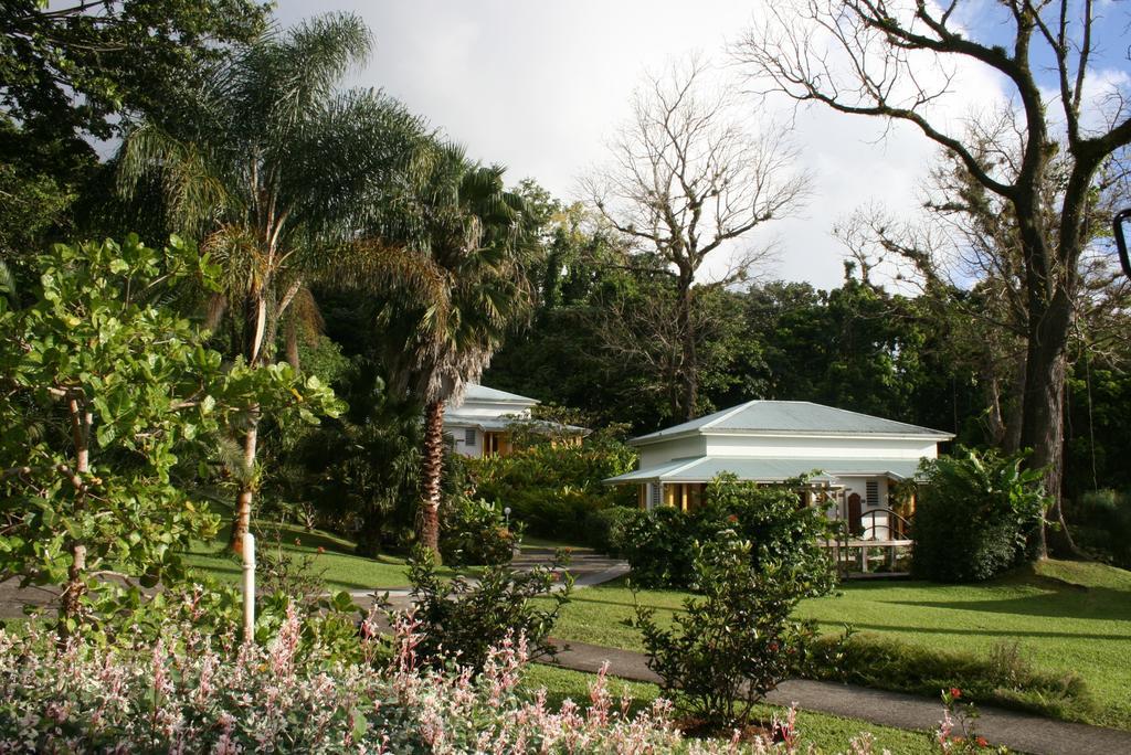 Les Cycas Guest house *