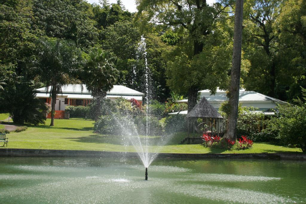 Les Cycas Guest house Saint-Claude