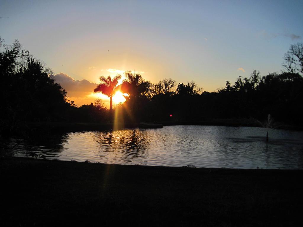 Les Cycas Guest house *