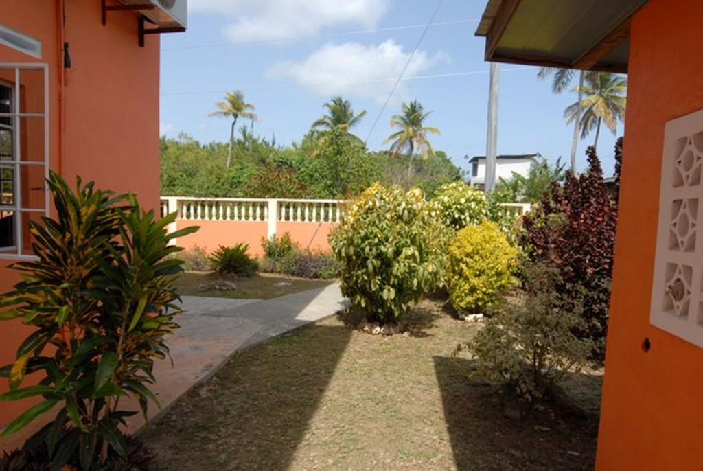 Jgs Tropical