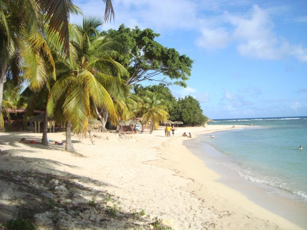 Nid Tropical Pour Deux Saint-Francois (Grande-Terre)