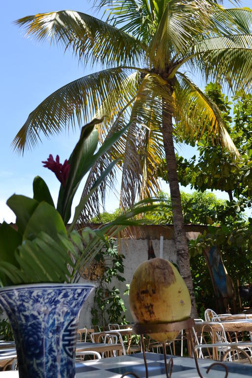 Pacot Breeze Hotel Musseau