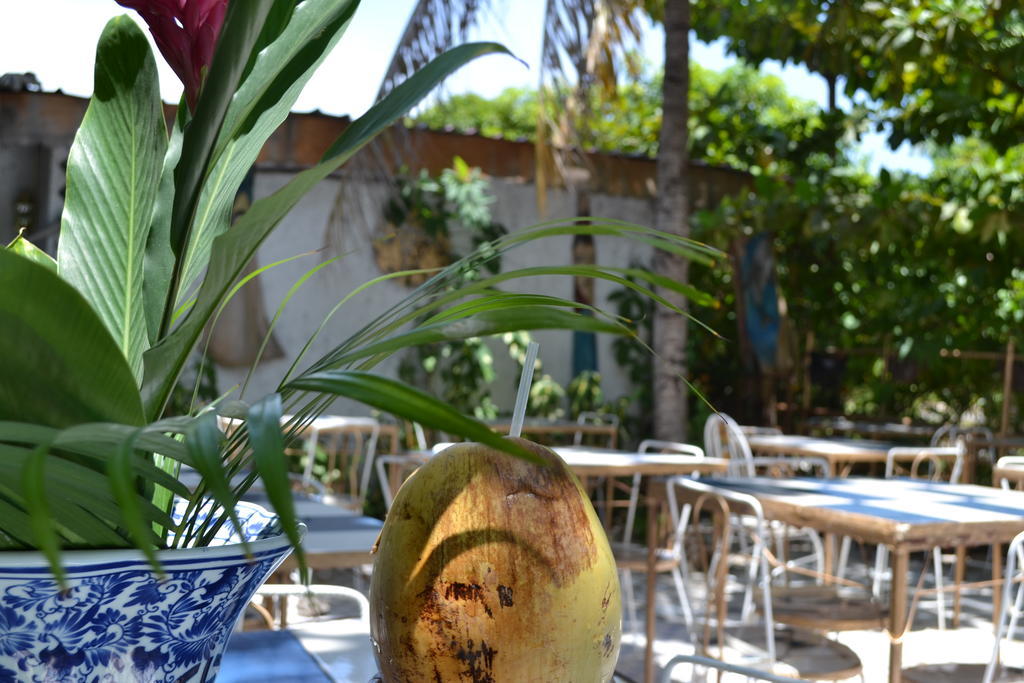 Aparthotel Pacot Breeze Hotel Musseau
