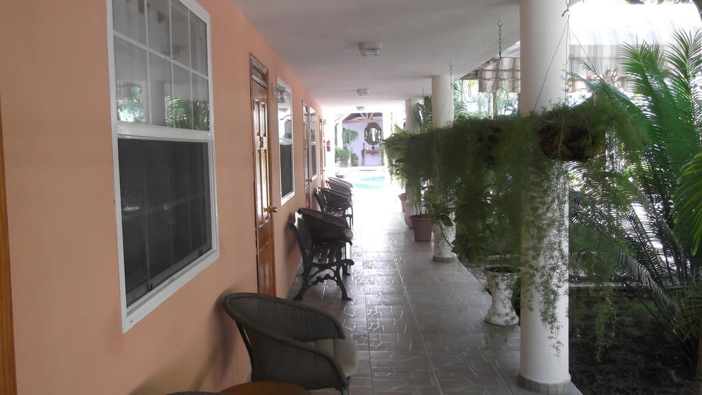 Hotel Palm