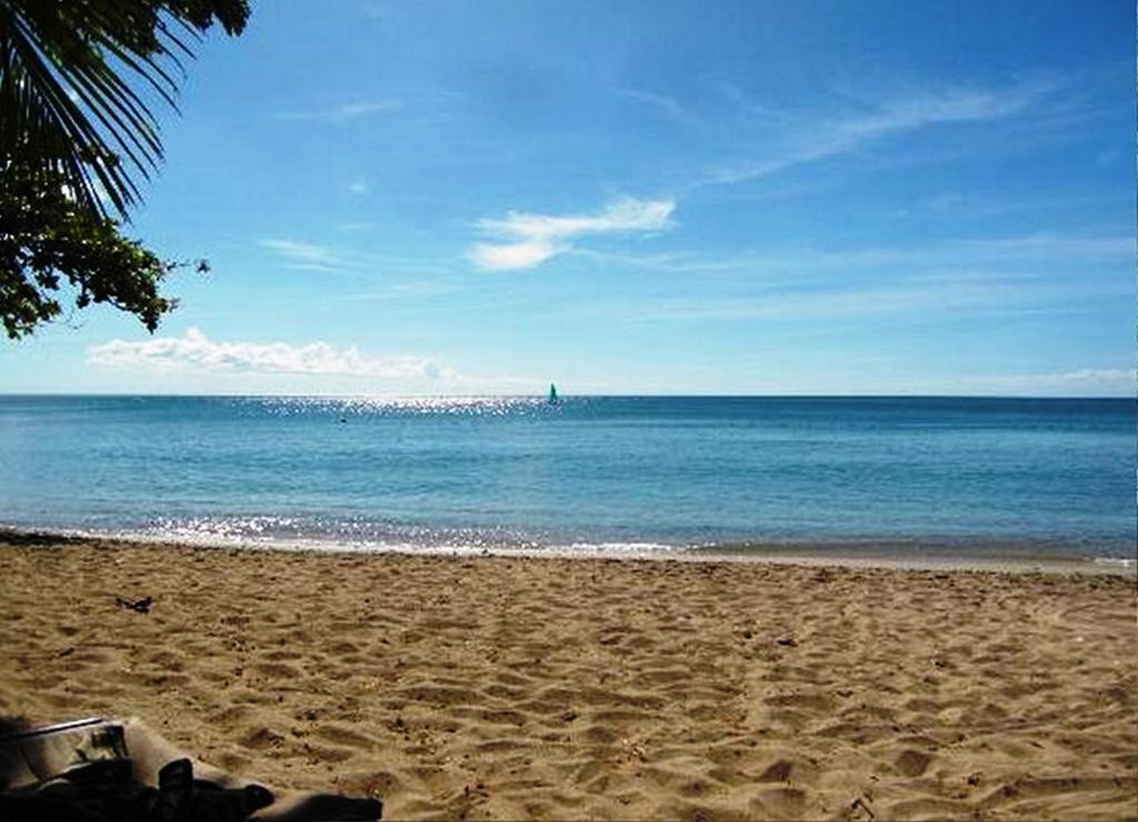 East Winds St. Lucia