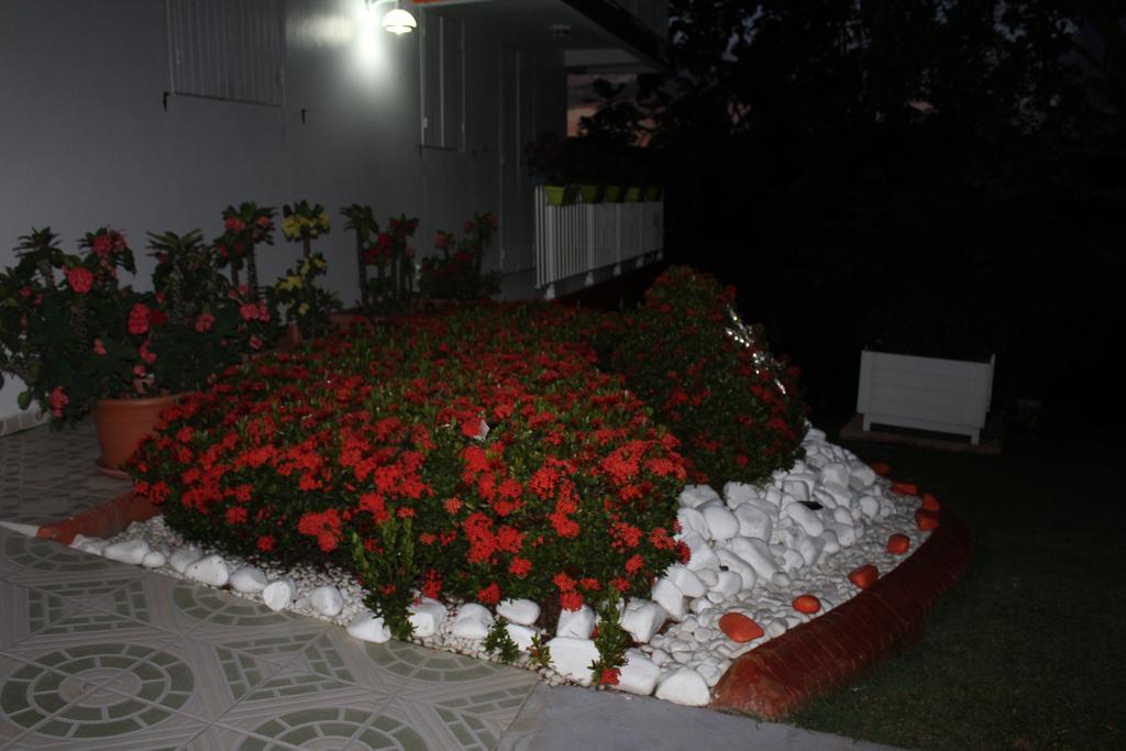 Villa Ludivine *