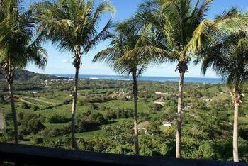 Rainforest & Ocean View At Carabali Luquillo