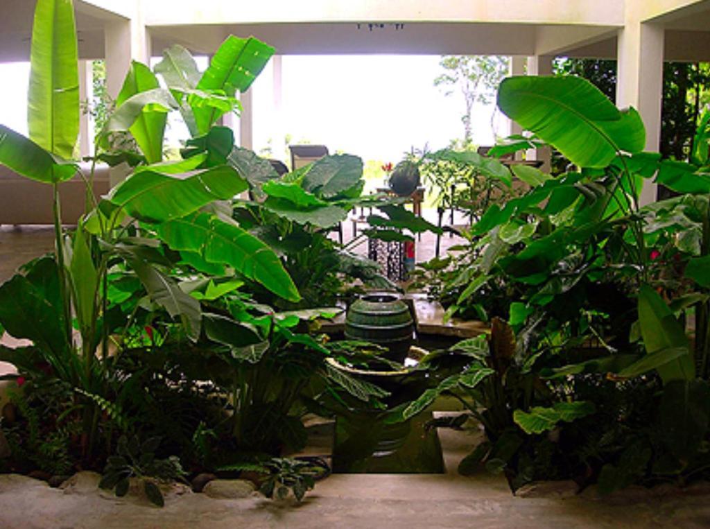 Hotel El Hotelito At The Rainforest Experience Farm